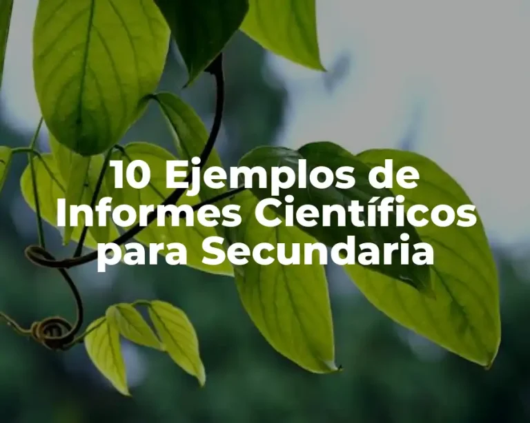10 Ejemplos de Informes Científicos para Secundaria