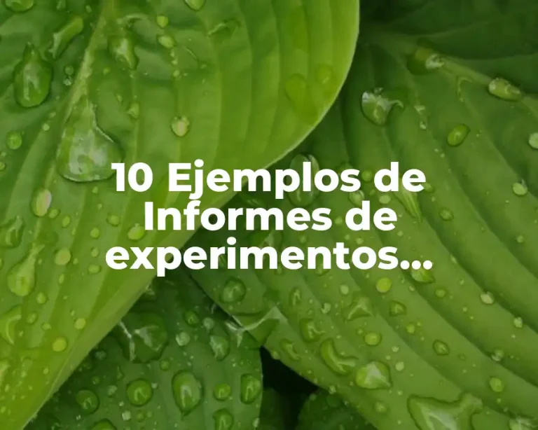 10 Ejemplos de Informes de experimentos científicos cortos