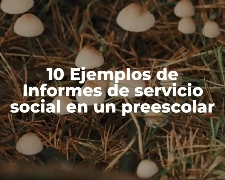 10 Ejemplos de Informes de servicio social en un preescolar