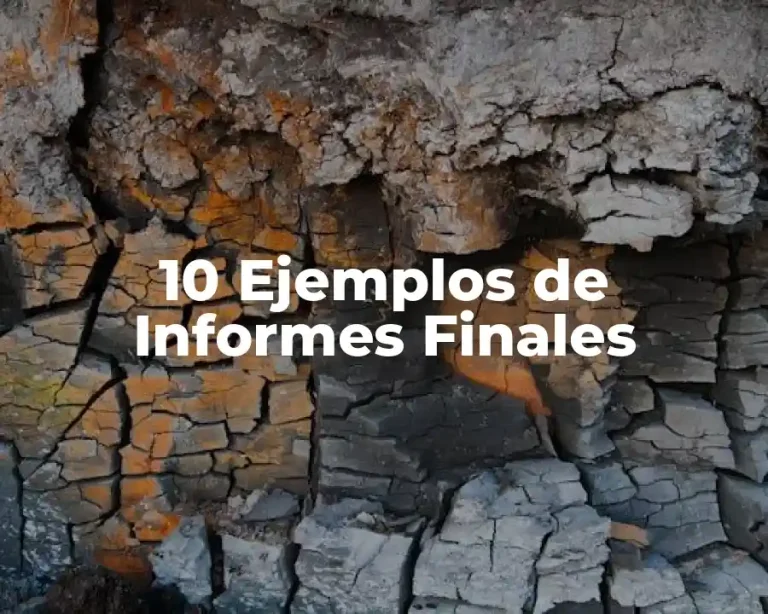 10 Ejemplos de Informes Finales
