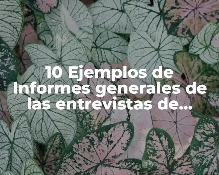10 Ejemplos de Informes generales de las entrevistas de trabajo RH