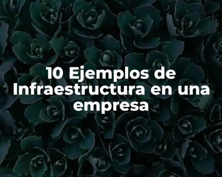 10 Ejemplos de Infraestructura en una empresa