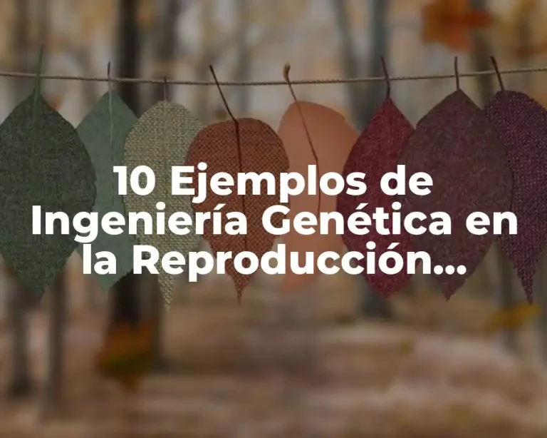 10 Ejemplos de Ingeniería Genética en la Reproducción Asistida