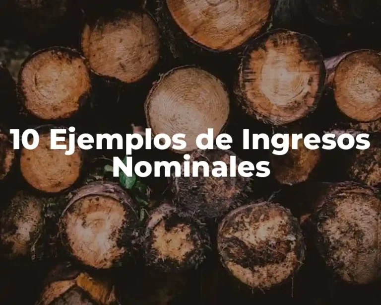 10 Ejemplos de Ingresos Nominales