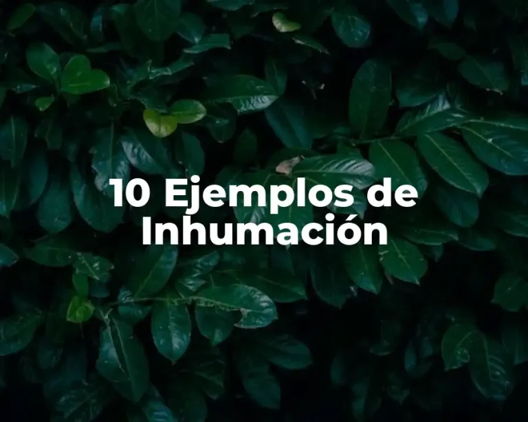 10 Ejemplos de Inhumación