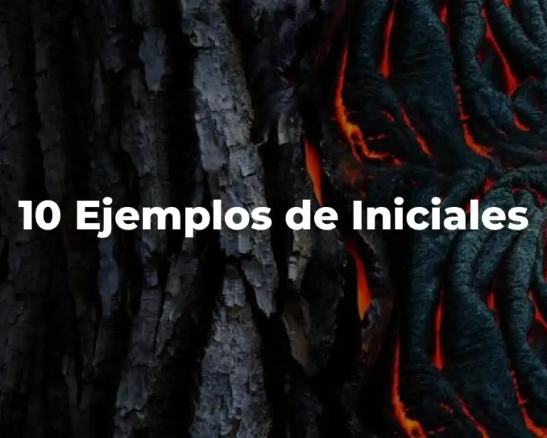10 Ejemplos de Iniciales