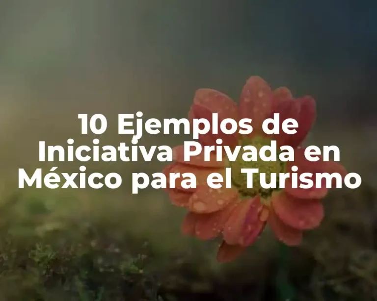 10 Ejemplos de Iniciativa Privada en México para el Turismo
