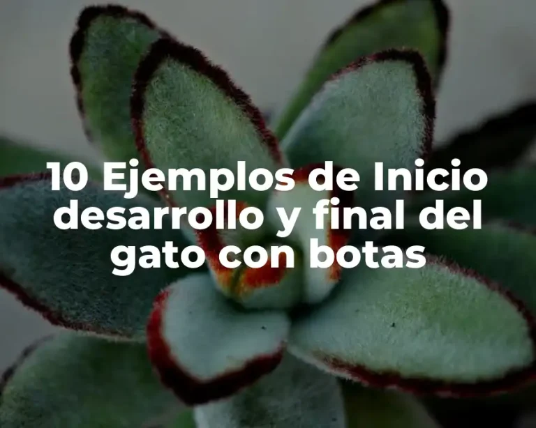 10 Ejemplos de Inicio desarrollo y final del gato con botas