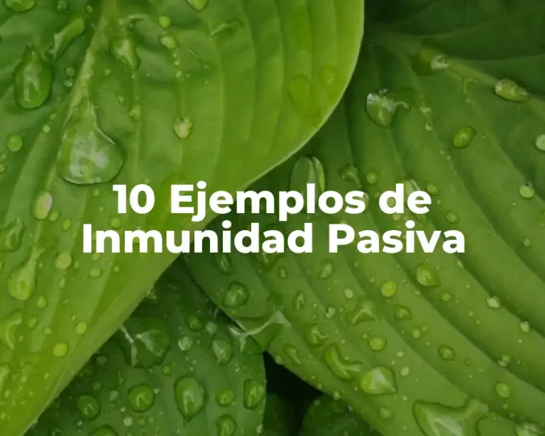 10 Ejemplos de Inmunidad Pasiva