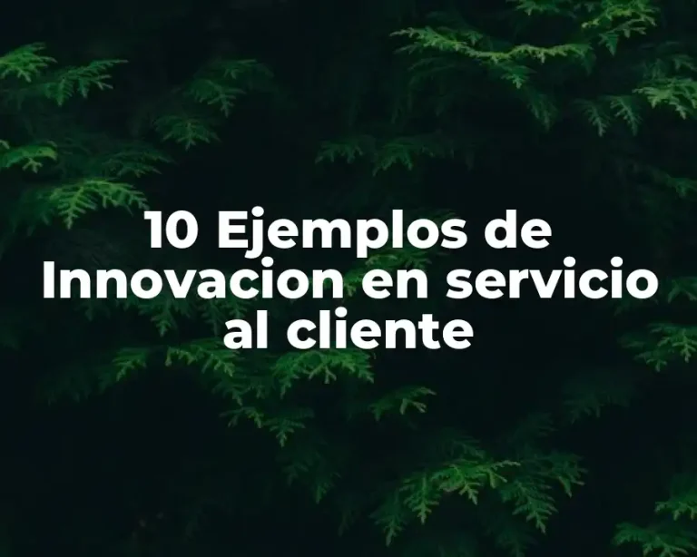 10 Ejemplos de Innovacion en servicio al cliente