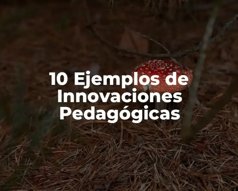 10 Ejemplos de Innovaciones Pedagógicas
