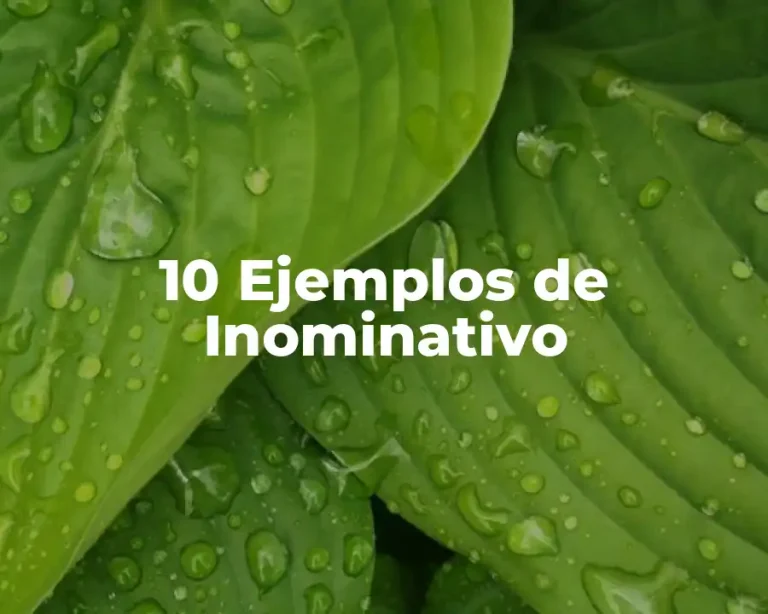 10 Ejemplos de Inominativo
