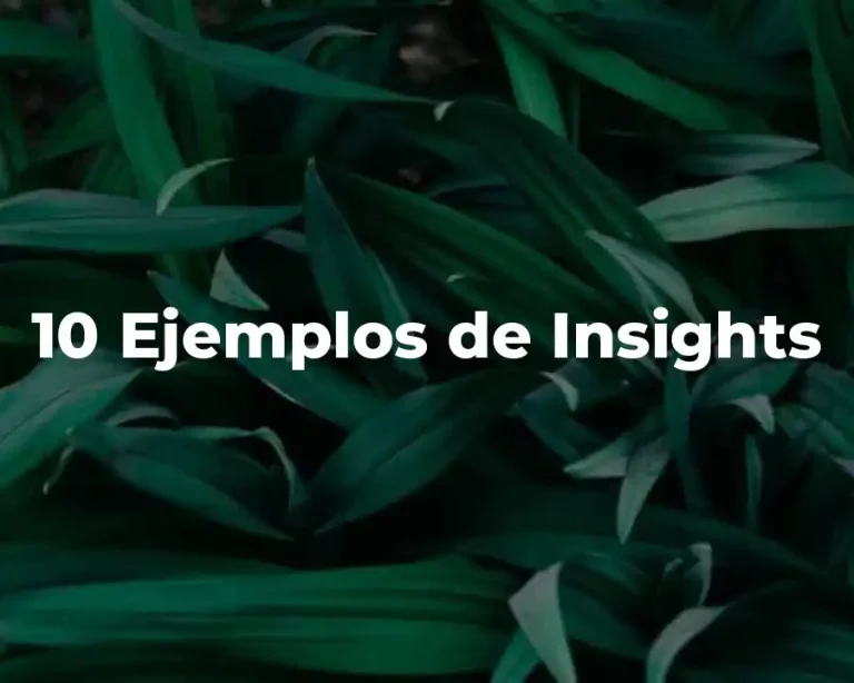 10 Ejemplos de Insights