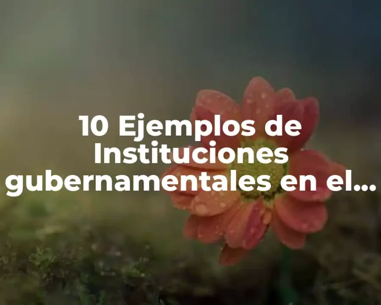 10 Ejemplos de Instituciones gubernamentales en el ámbito político