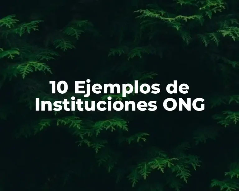 10 Ejemplos de Instituciones ONG
