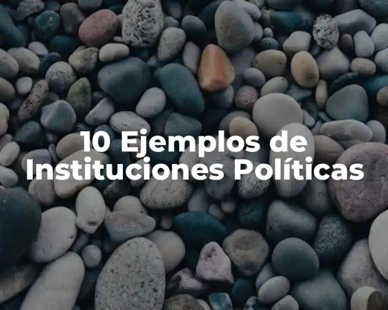 10 Ejemplos de Instituciones Políticas