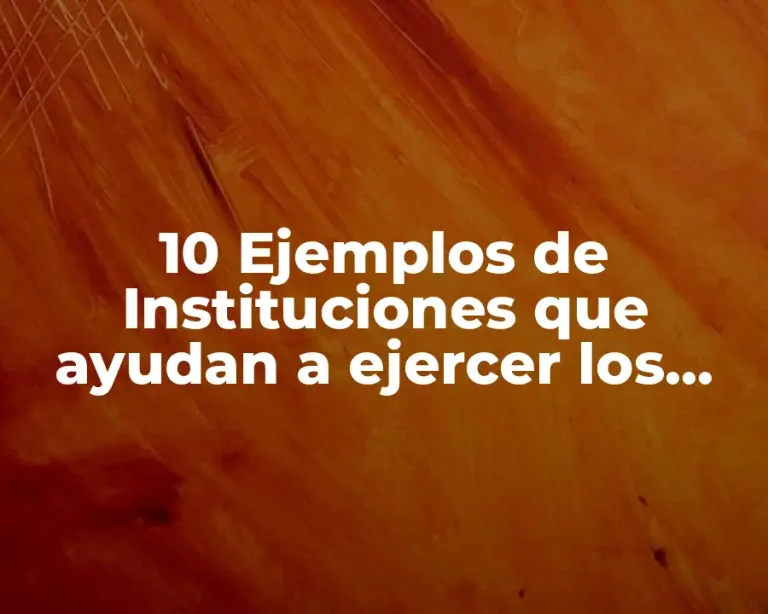 10 Ejemplos de Instituciones que ayudan a ejercer los derechos