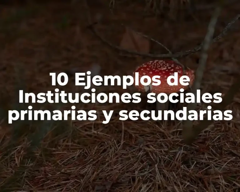 10 Ejemplos de Instituciones sociales primarias y secundarias