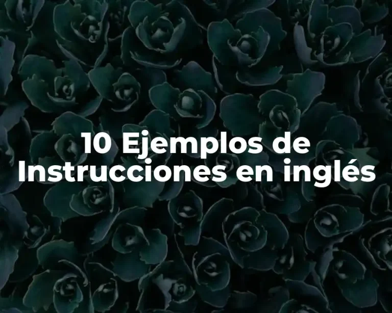 10 Ejemplos de Instrucciones en inglés