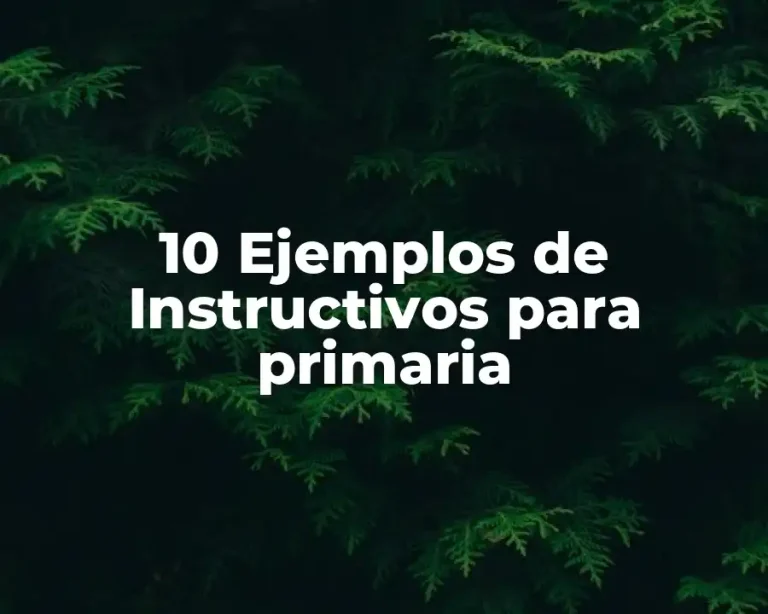 10 Ejemplos de Instructivos para primaria
