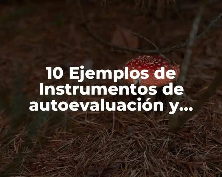 10 Ejemplos de Instrumentos de autoevaluación y coevaluación para geografía