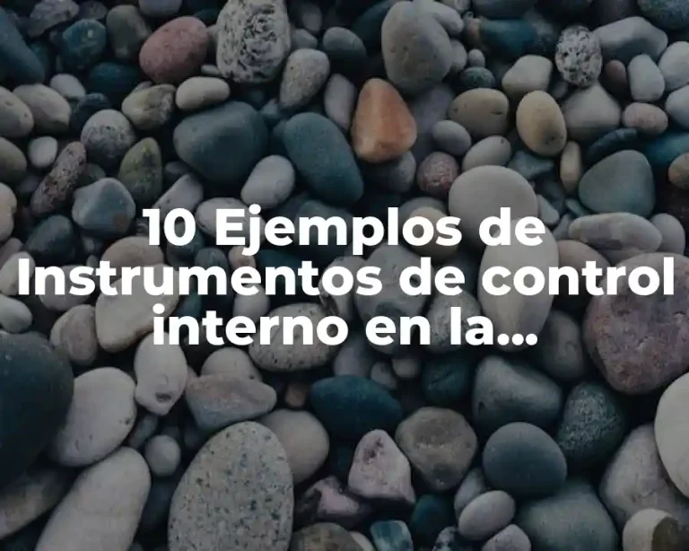 10 Ejemplos de Instrumentos de control interno en la administración pública