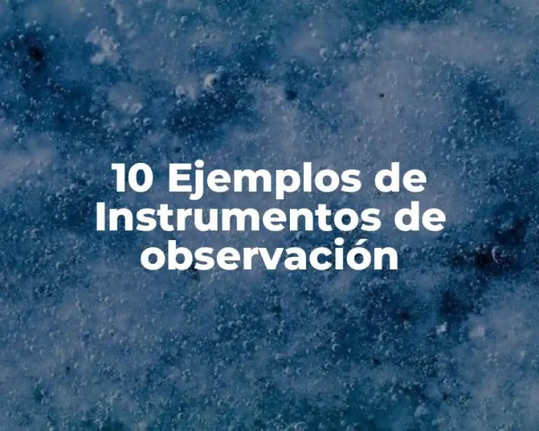 10 Ejemplos de Instrumentos de observación