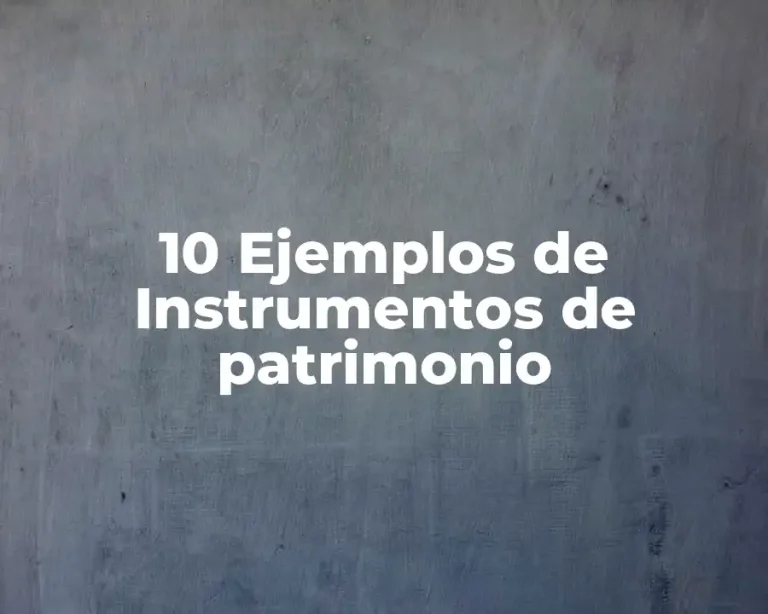 10 Ejemplos de Instrumentos de patrimonio