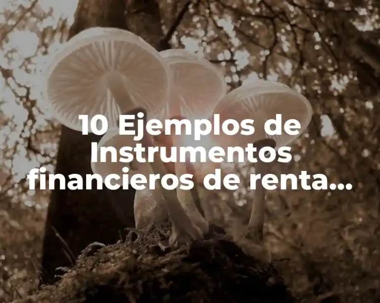 10 Ejemplos de Instrumentos financieros de renta variable