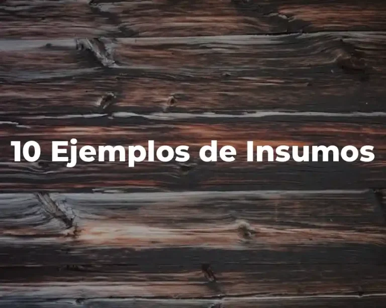 10 Ejemplos de Insumos