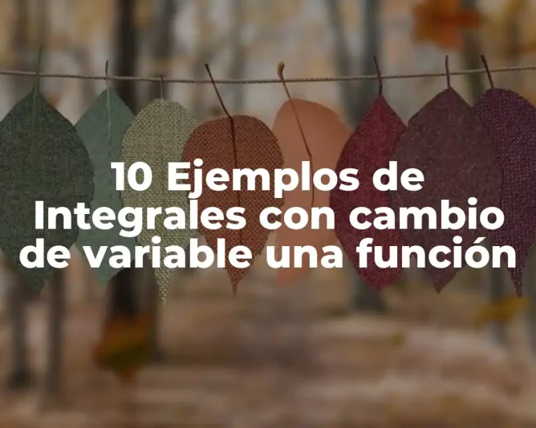 10 Ejemplos de Integrales con cambio de variable una función