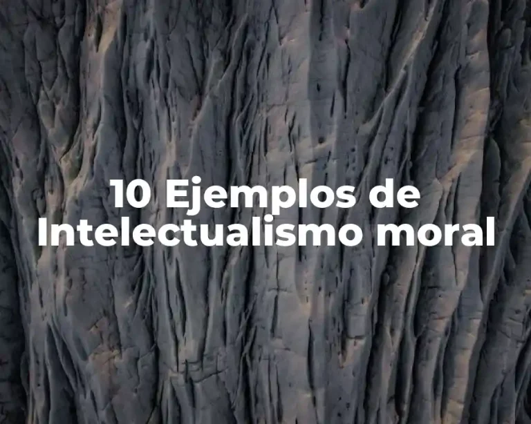 10 Ejemplos de Intelectualismo moral