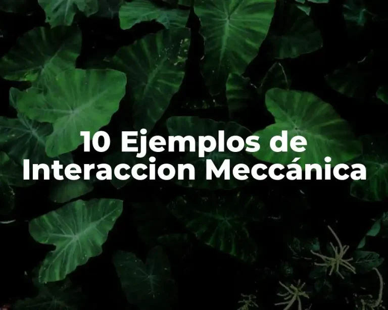 10 Ejemplos de Interaccion Meccánica