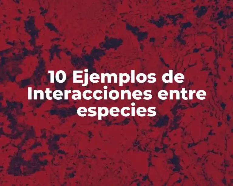 10 Ejemplos de Interacciones entre especies