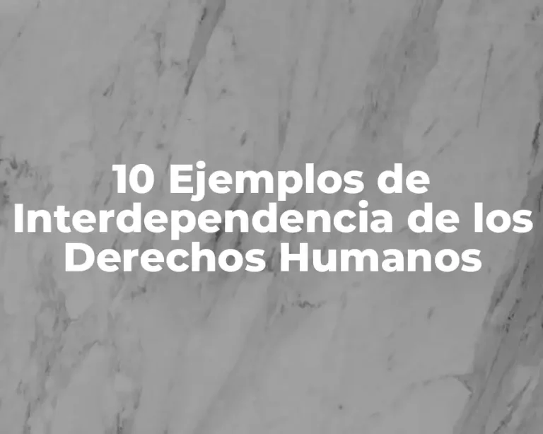10 Ejemplos de Interdependencia de los Derechos Humanos