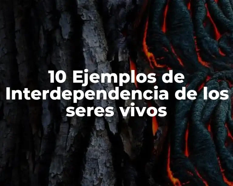 10 Ejemplos de Interdependencia de los seres vivos
