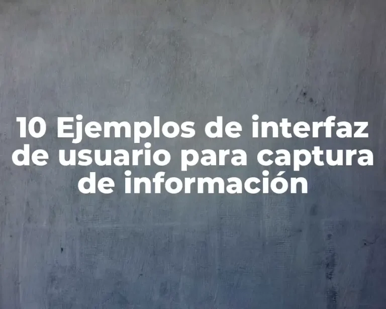 10 Ejemplos de interfaz de usuario para captura de información