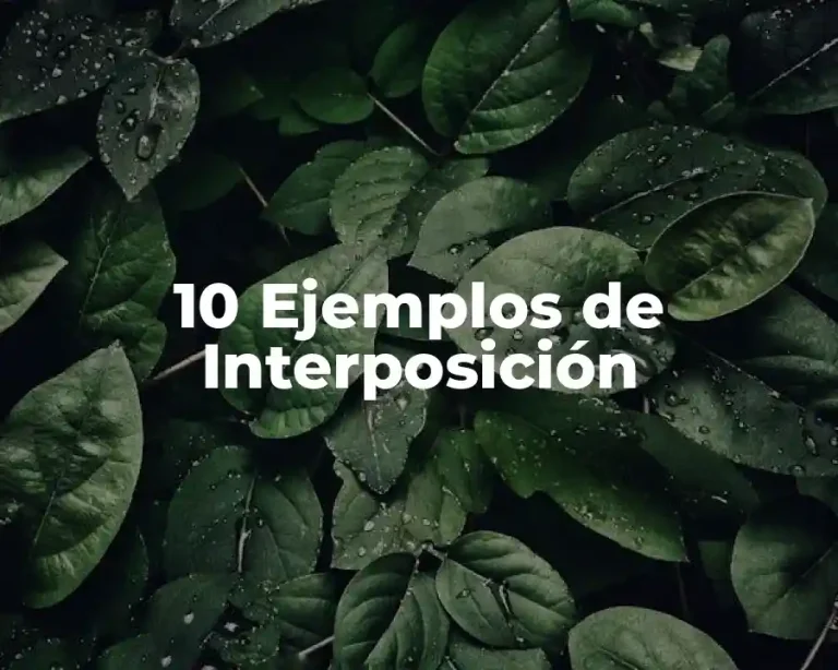 10 Ejemplos de Interposición