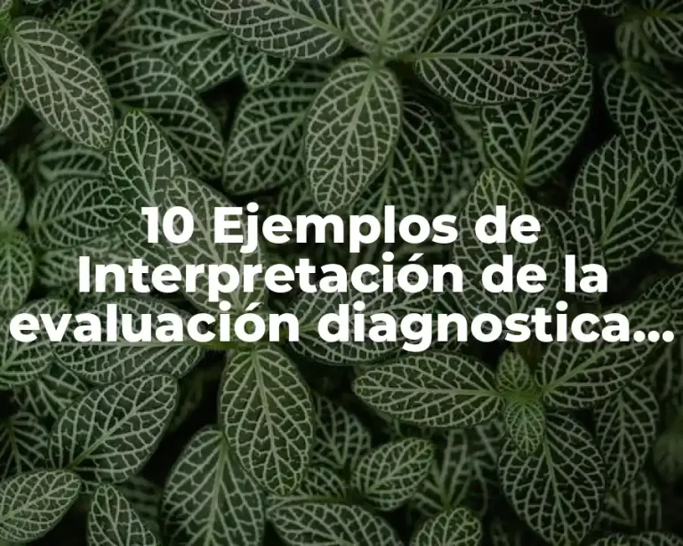 10 Ejemplos de Interpretación de la evaluación diagnostica sexto grado