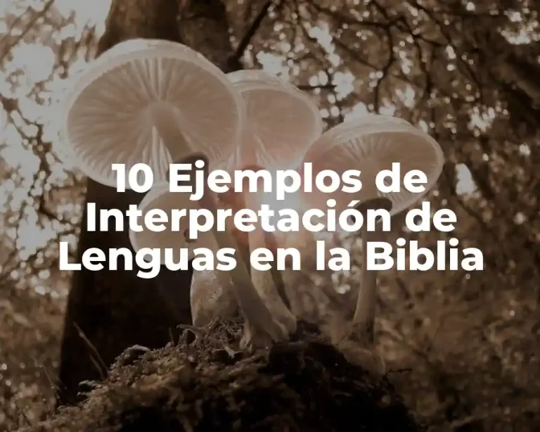 10 Ejemplos de Interpretación de Lenguas en la Biblia