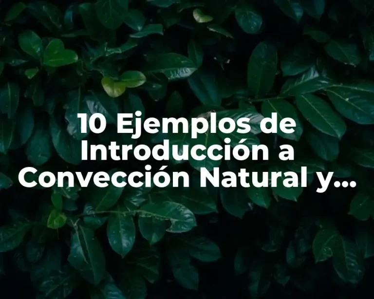 10 Ejemplos de Introducción a Convección Natural y Forzada en Termodinámica