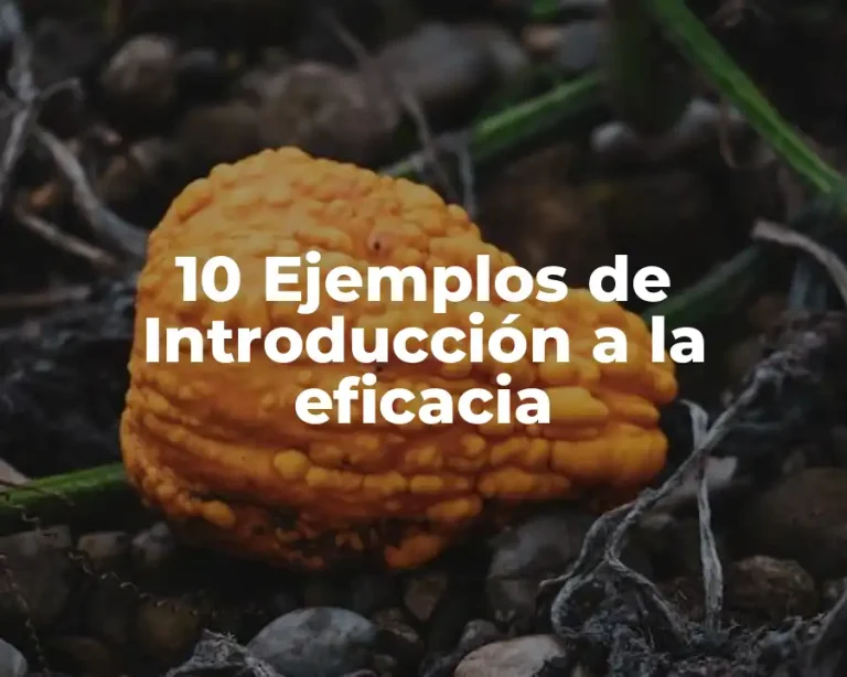 10 Ejemplos de Introducción a la eficacia