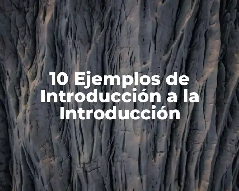 10 Ejemplos de Introducción a la Introducción