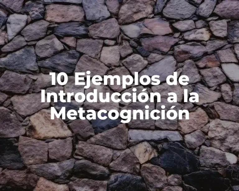 10 Ejemplos de Introducción a la Metacognición