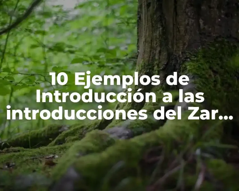 10 Ejemplos de Introducción a las introducciones del Zar Iván IV el Terrible
