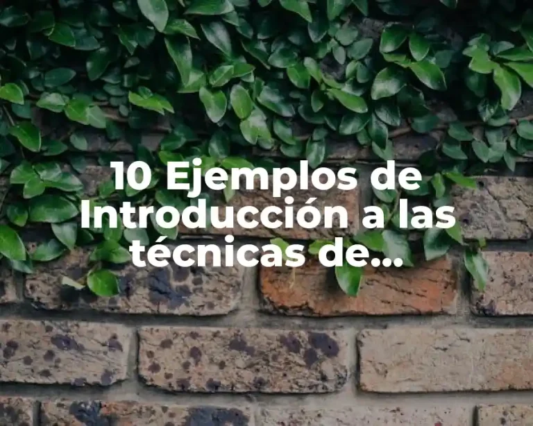 10 Ejemplos de Introducción a las técnicas de introducción para vender un producto