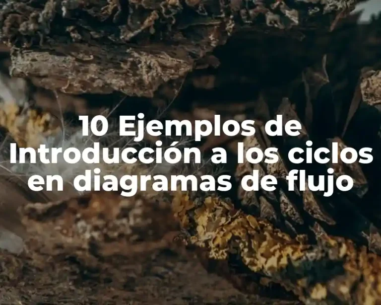 10 Ejemplos de Introducción a los ciclos en diagramas de flujo