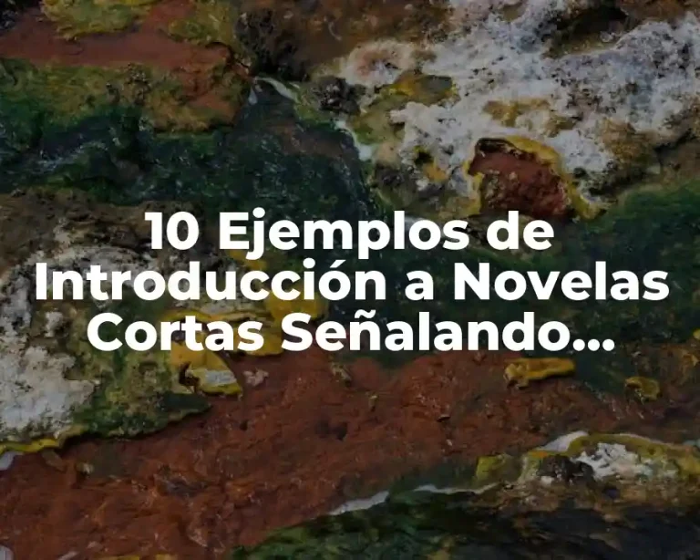 10 Ejemplos de Introducción a Novelas Cortas Señalando Introducción, Desarrollo, Clímax y Desenlace