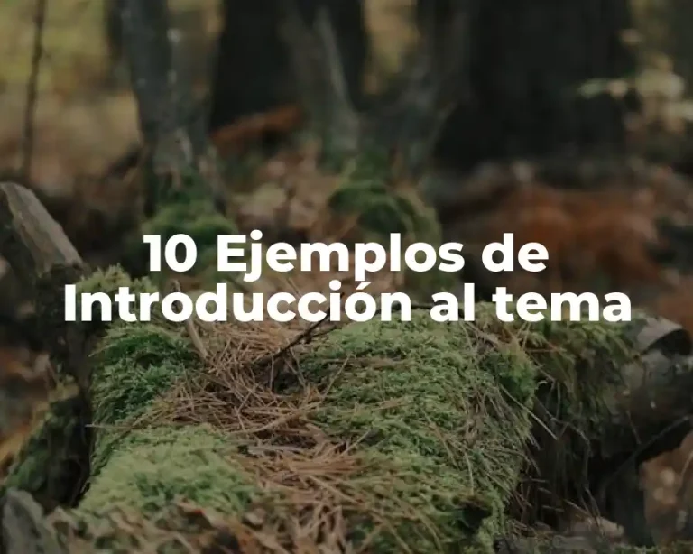 10 Ejemplos de Introducción al tema