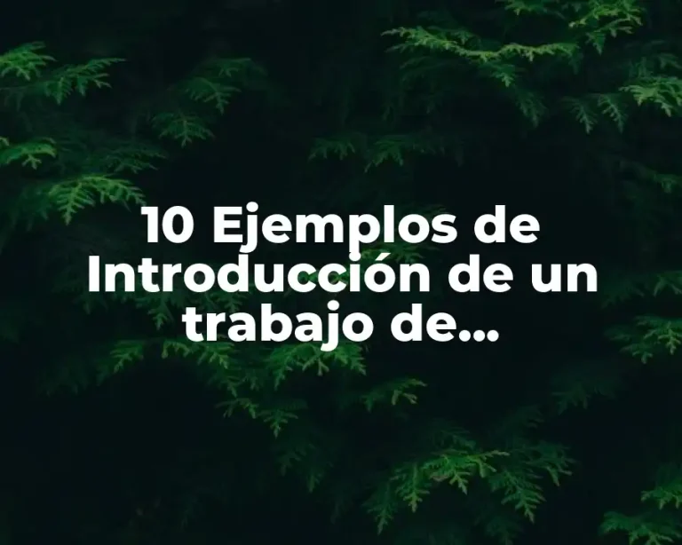 10 Ejemplos de Introducción de un trabajo de investigación